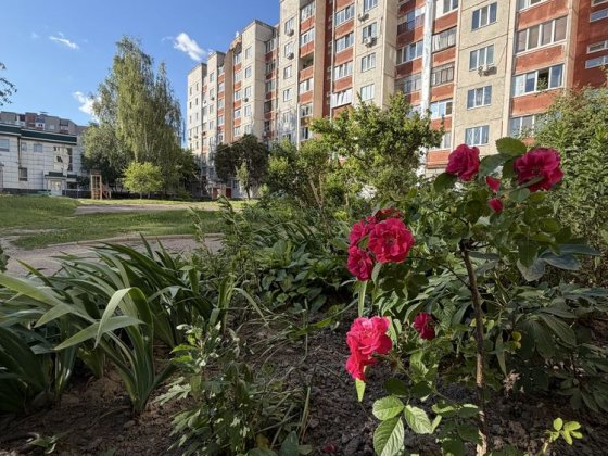 Продаж 1-но кімнатної квартири в центрі міста ЦУМ Чернігів