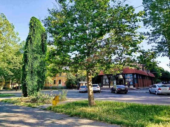 Продам 2к центр города цена 49т Чорноморськ
