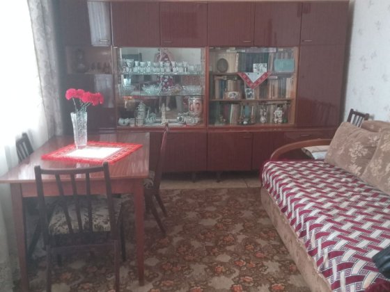 Продам 2 чешку з Автономним ,гараж Коростень