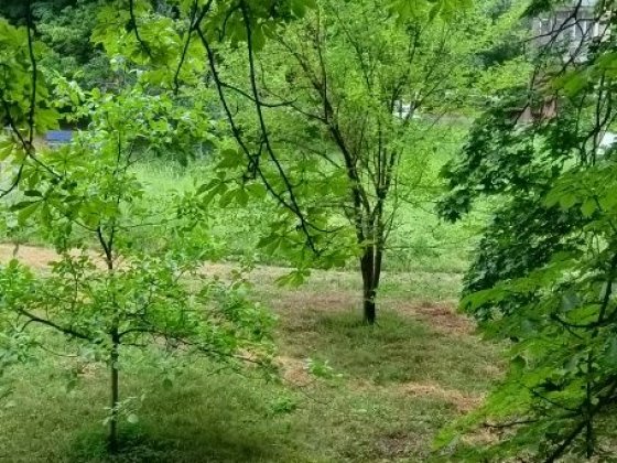 Продам 2х к. квартиру Краматорск