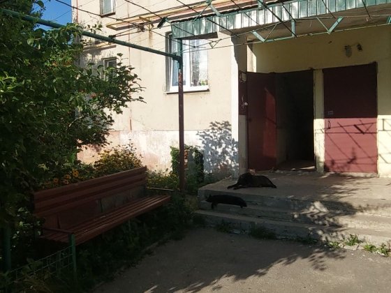 Продам 2х.кв. в Солоницевском ОТГ (санаторий Берминводы) Солоницевка