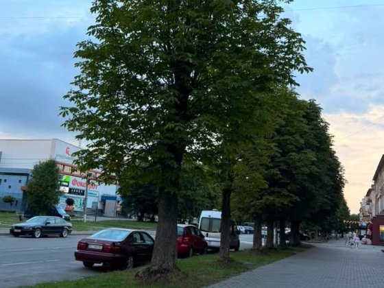 Продаж 2-х кімнатної квартири під бізнес в центрі м.Шептицький Шептицький