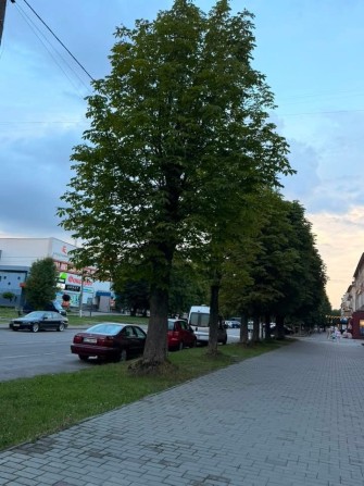 Продаж 2-х кімнатної квартири під бізнес в центрі м.Шептицький - фото 1