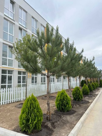 Продаж 2к квартири 48м2 з великим двором 37,5м2 від забудовника! - фото 1