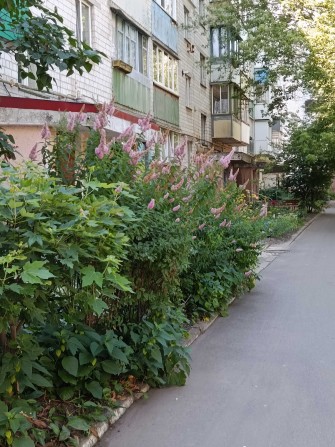 3-и кімн. під кап. ремонт. Поверх 3/5. Бучанськ. р-н, Немішаєве, Центр - фото 1