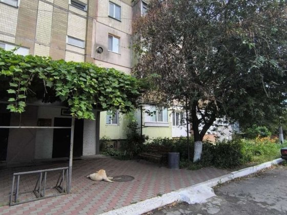 Продаж однокімнатной квартири в с. Красилівка  Броварской район Красиловка