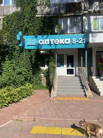 Оренда комерційноі нерхуомості в центрі Вишгорода - фото 1