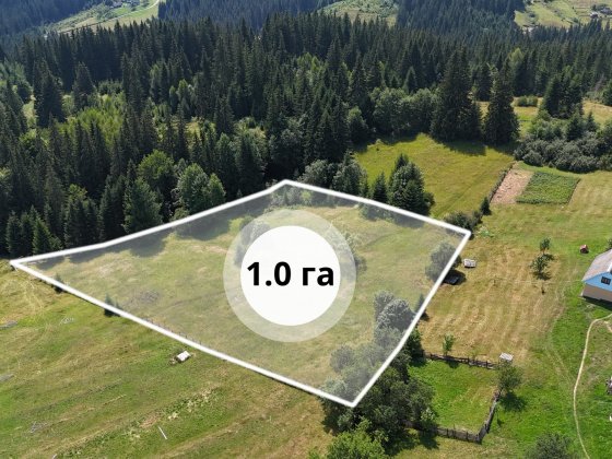 Земельна ділянка у Яблуниці площею 1 га Яблуница