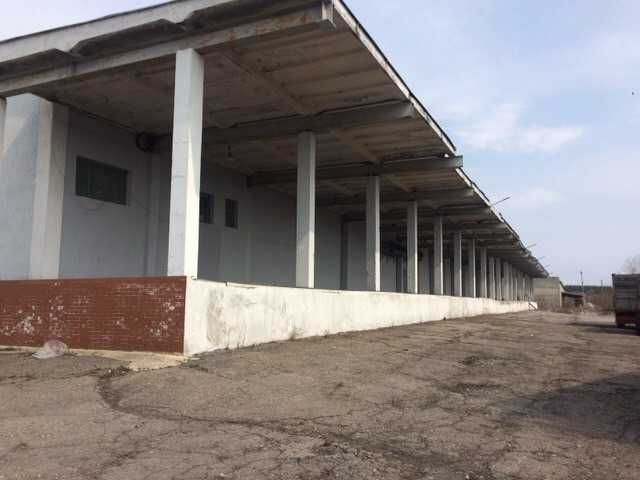 Склади 1000 або 2000кв.м. Рампа. Васищеве. Без комісії. - фото 1