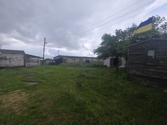 Оренда ферми в Борисполі Бориспіль
