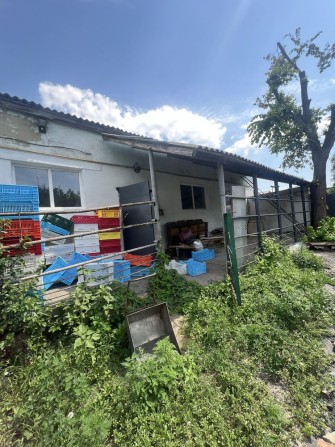 Здається в оренду забійний цех в смт Нові Санжари - фото 1