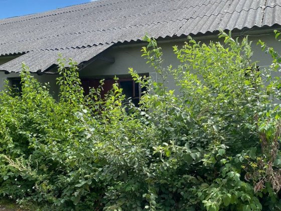 Оренда складів різної площі від 45 грн/м²| Тернопільська область| 45 км від Тернополя у напрямку Іва Тернопіль