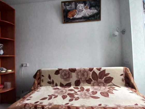 Здається в оренду 1,кім кв Софіївська Борщагівка Софіївська Борщагівка
