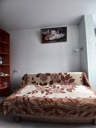 Здається в оренду 1,кім кв Софіївська Борщагівка - фото 1