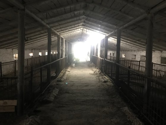 ТЕРМІНОВО Продам ферму свинокомплекс Берестин