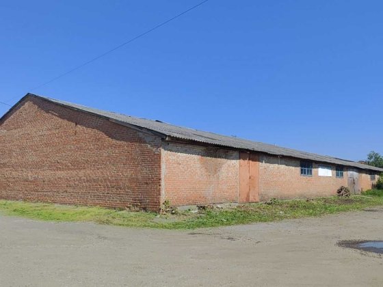 Продам Слад в Лубнах Лубни