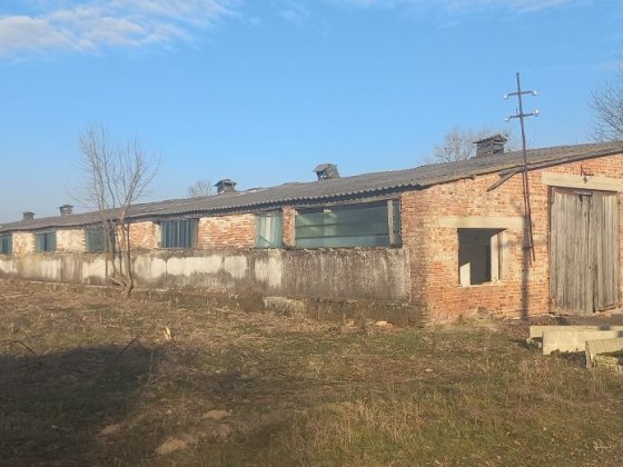Продам приміщення корівника Зміїнець