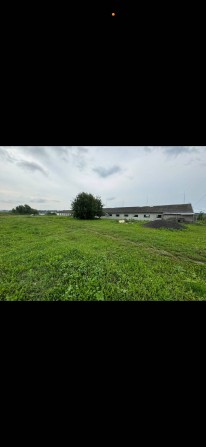Продам виробниче приміщення в с Боголюби із земельною ділянкою 0 49 га - фото 1