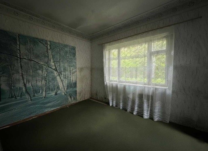Продаж приміщення 192м². Під ремонт. Поряд озеро. Біля траси. ID:205 - фото 1