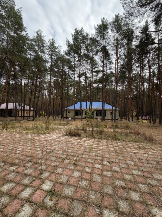 Продажа детского лагеря в Полтавской обл., поселок Новые Санжары! 6 га - фото 1
