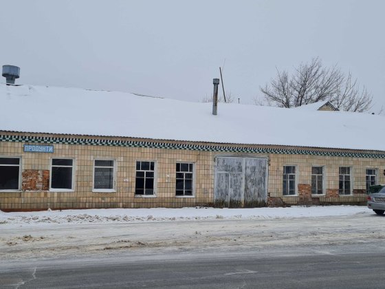 Виробничі будівлі та споруди, 1669 кв. м, Диканька, вул. Пушкіна, 11В Диканька