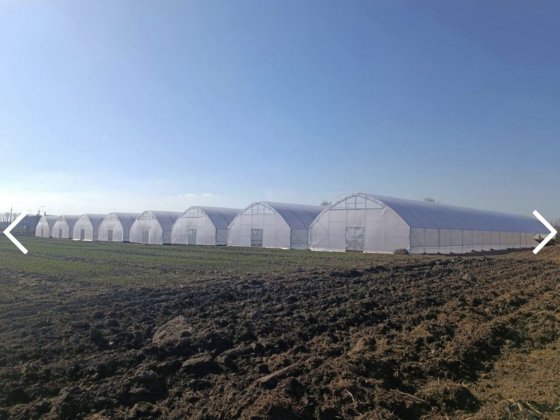 Продаж Майнового Тепличного комплексу с. Слобода Красная Слобода