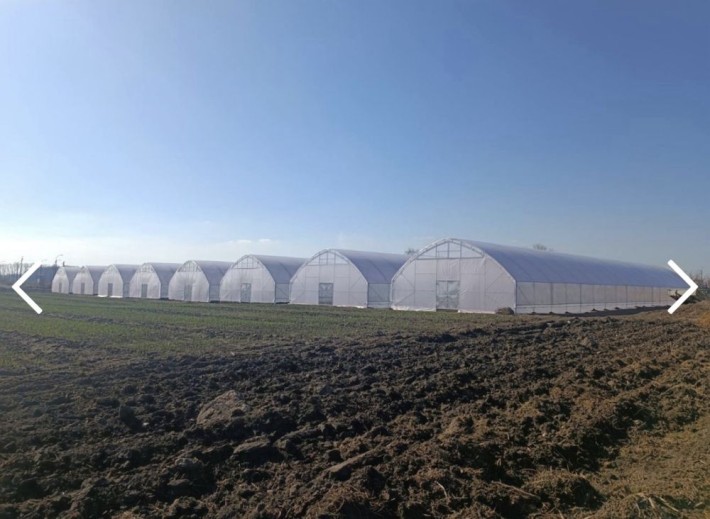Продаж Майнового Тепличного комплексу с. Слобода - фото 1