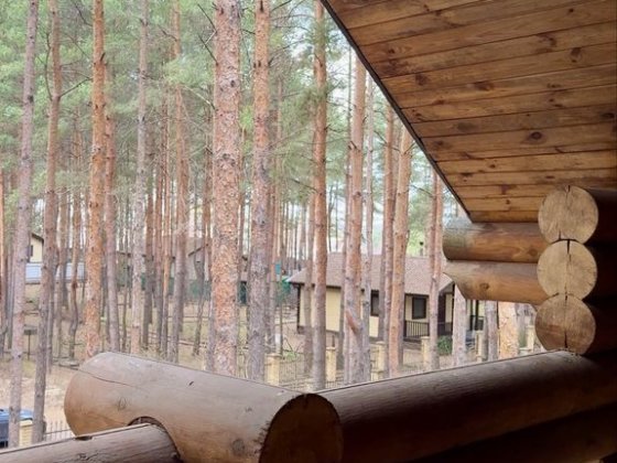 Будинок в оточені сосен, ідеально для відпрчинку, 40 км до Києва, окупність 3 роки Буча