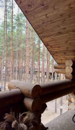 Будинок в оточені сосен, ідеально для відпрчинку, 40 км до Києва, окупність 3 роки - фото 1