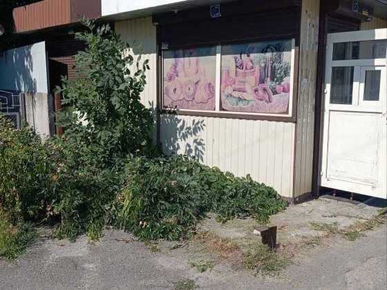 Продам МАФ  24кв Белая Церковь