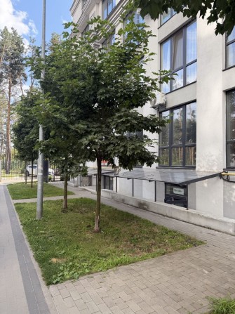 Комерційне приміщеня з ремонтом 45м2 - фото 1