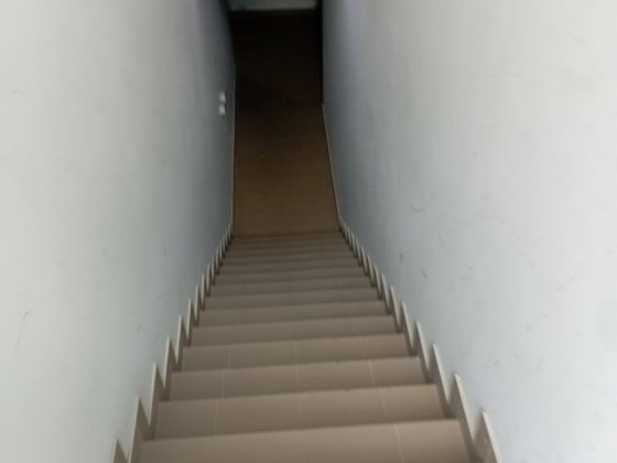 Продається комора, Столичне шосе, 3 Ірпінь