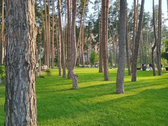 Ірпінь, продаж комерційного приміщення, поруч парк "Центральний" Ирпень