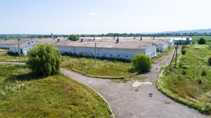Продам пташники - птахофабріку в Чернівцях потужністю 2,5млн.гол/рік - фото 1