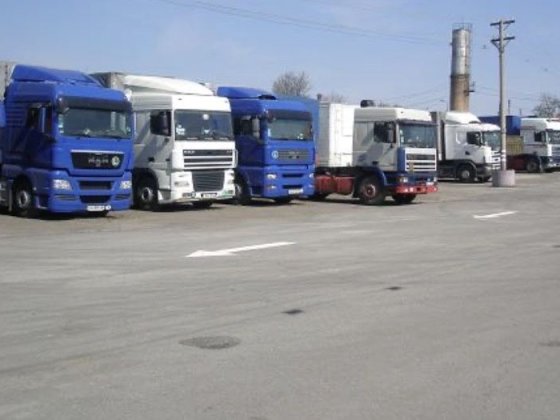 Здам стоянку Святопетрівське, Вишневе. 2000 метрів. Святопетровское