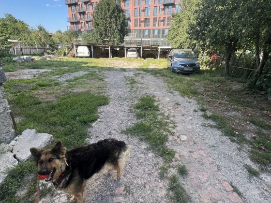 Паркомісця, Сихів Львов