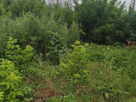 Продам два місця під гараж гк  Протока 2 Шкаровка