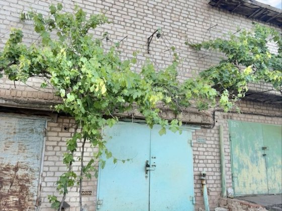 Гараж кооператив Мирний вул Бикова Саксаганський район