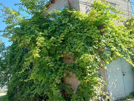 Продаю двоповерховий гараж вГСК -Політ Вінниця