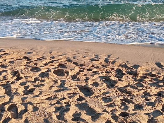 Здам кімнати в Санжійці. Свій вихід на море