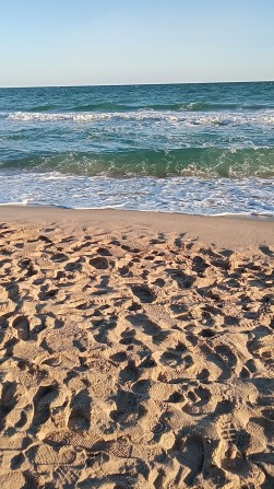 Здам кімнати в Санжійці. Свій вихід на море - фото 1