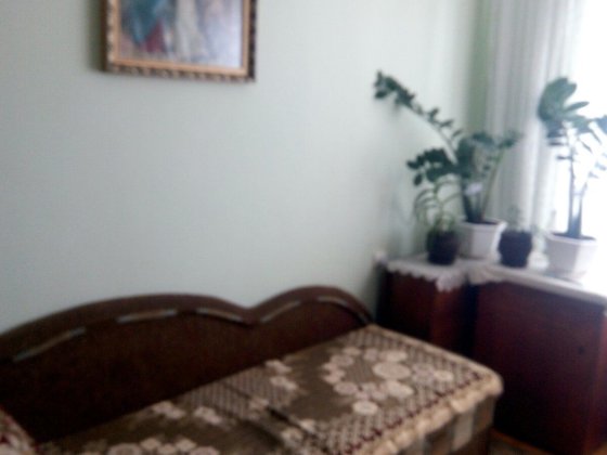 Здається кімната для хлопця, Бам, Петлюри