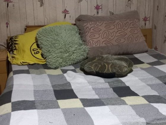Здам кімнату в приватному будинку Житомир
