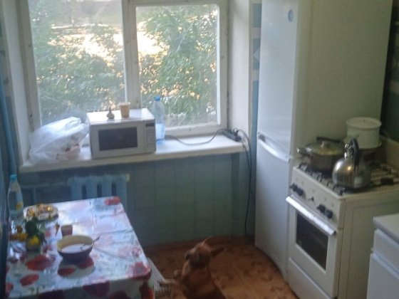 Здається кімната для хлопця по вул.Келецькій Вінниця