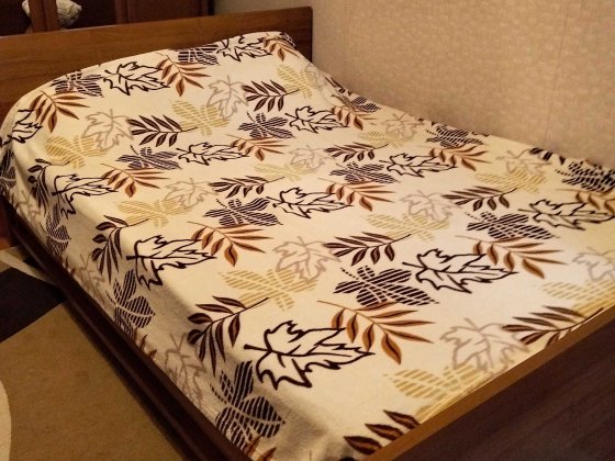 Кімната для жінки, дівчини Кропивницкий