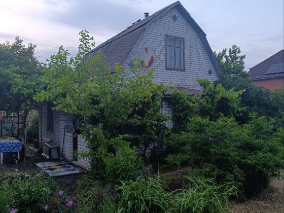 Оренда дачі в кооперативі "Дніпровець" Бориспільський р-н. Осокорки Процев