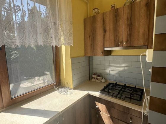 Здається будинок з видом на ліс