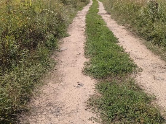 Здам дачу з вагончиком у Києві, Жуляни, вул. Совська Київ