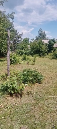 Сдам дачу Таромское Диёвка оренда дачі Таромське Діївка Дніпро - фото 1