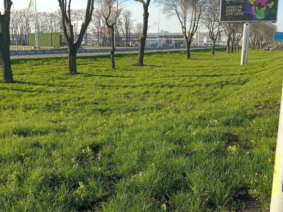 Будинок, вагон (сто, база-стоянка вантажівок, склад) 12сот.+12 Киев